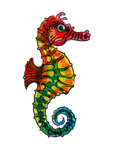 色彩斑斓的海马
