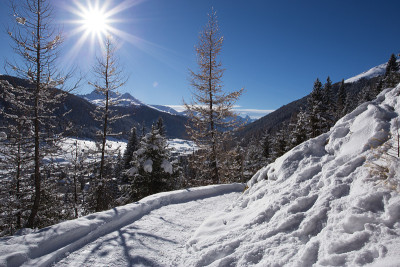 在阳光明媚的冬日里，美丽的雪景在瑞士达沃斯。后面是雅各布森山和莱纳霍恩山。垂直