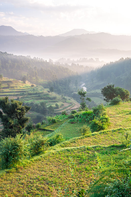 日出-踏地Bageshwar，北阿坎德邦，印度