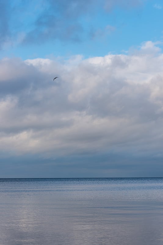 11月波罗的海海滩阴天