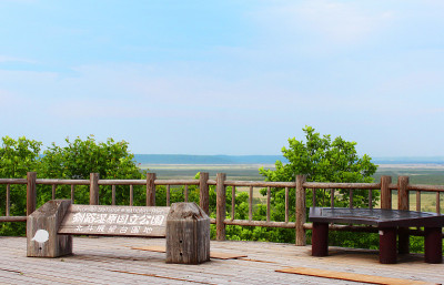 日本北海道的钏路湿地。