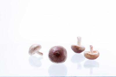 香菇分散。倒蘑菇腿到顶部。