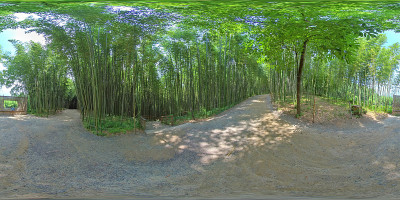丹阳竹林360度球面全景图。