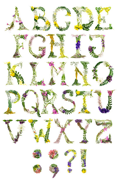 拉丁字母中的花字母。