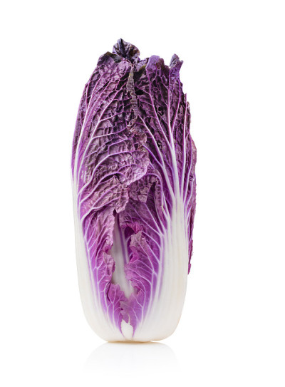 白色背景上的紫白菜