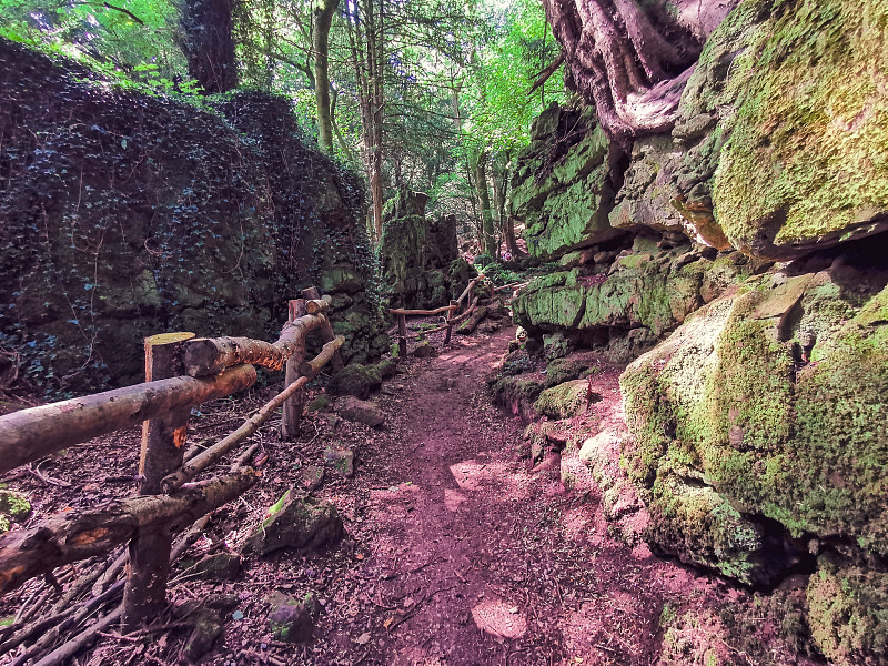 神奇的Puzzlewood