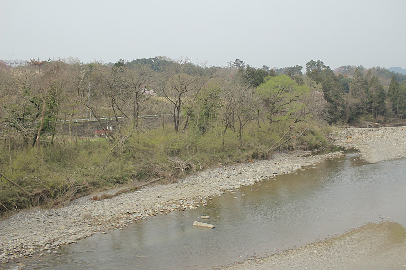 坐火车欣赏乡村风光