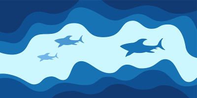 抽象背景，海报，横幅。大海，大海，海浪和鲨鱼组成。