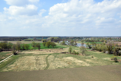 鸟瞰图'Grady odrzanskie' -奥德拉河附近弗罗茨瓦夫市。自然保护区“Natura 2