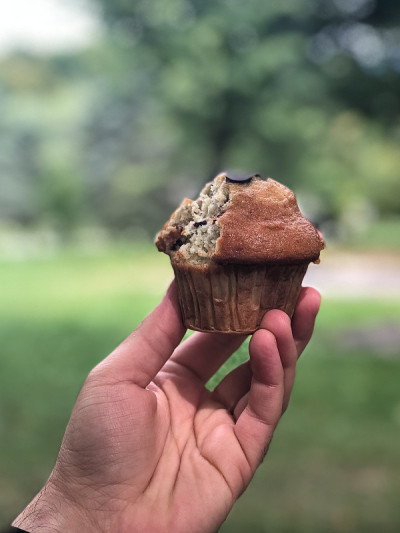 一幅手拿美味巧克力纸杯蛋糕的肖像