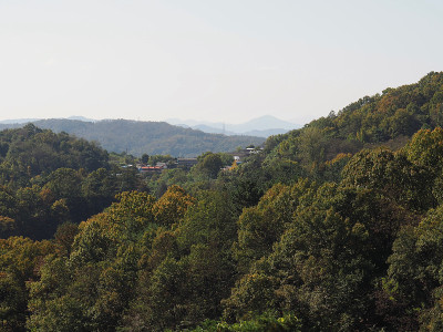 金秋森林，高山