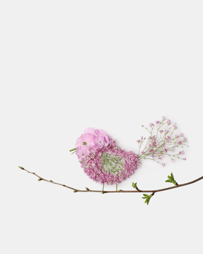 小鸟在树枝上。花拼贴。