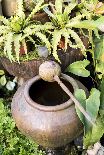 花园里的旧陶器