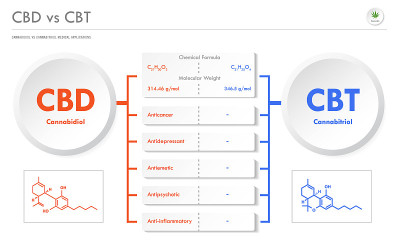 CBD vs CBT, Cannabidiol vs Cannabitriol横向商业信息图