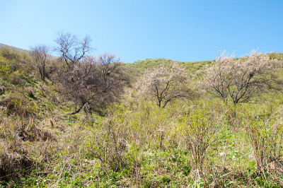 山泉