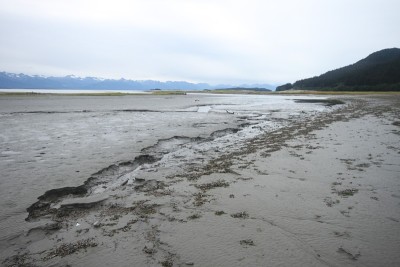 鹰州海滩，阿拉斯加朱诺
