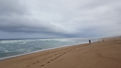 加州海岸