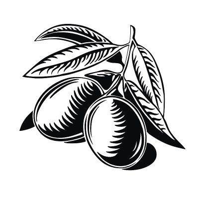 橄榄枝