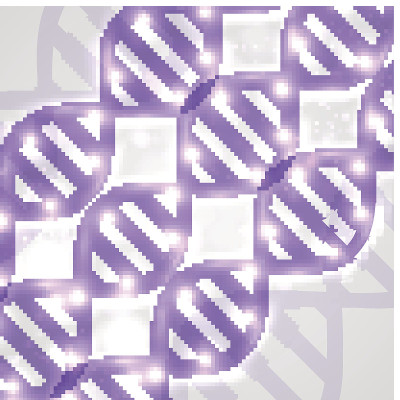 摘要DNA