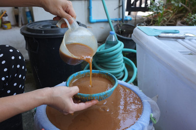 压榨罗望子水成分，用于制作靛蓝染料