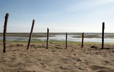 海滨畜栏
