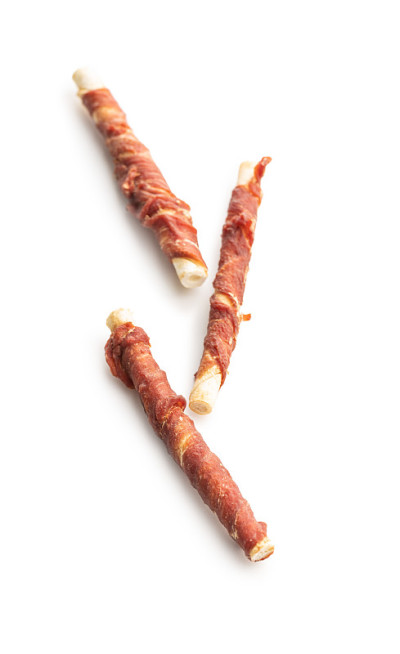 狗把棍子。狗用耐嚼棒。