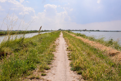 珠江三角洲景观