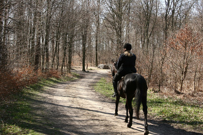 riding03