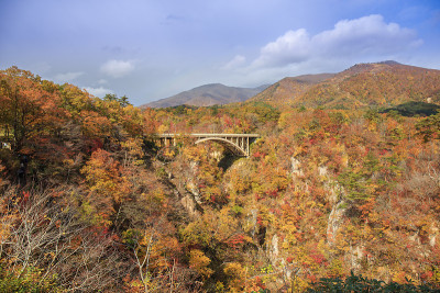 日本宫城市大崎鸣子峡谷秋日树叶变色的桥
