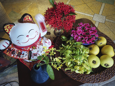 中秋、圆月——吉祥猫果、金苹果果——柿果
