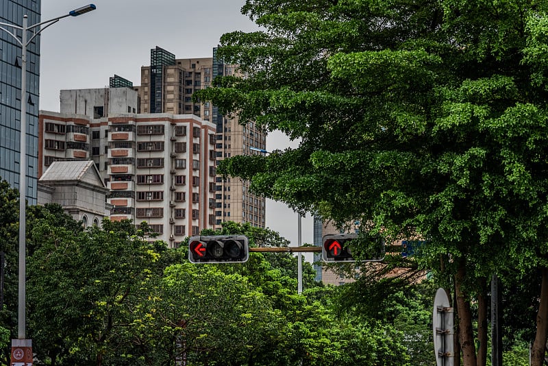 交通灯，树木，住宅区背景，绿色