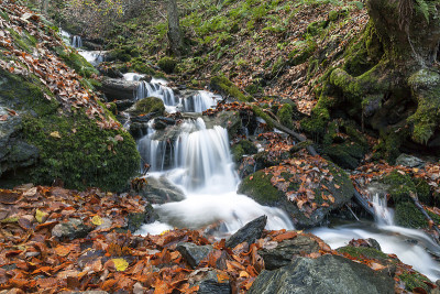 Waldbach