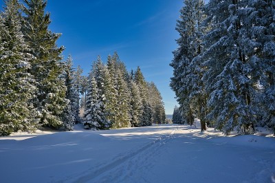 图林根州冬天的雪景
