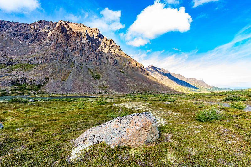 在夏天阿拉斯加平顶峡谷阿尔卑斯山的风景