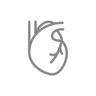 人的心线图标。健康内脏符号