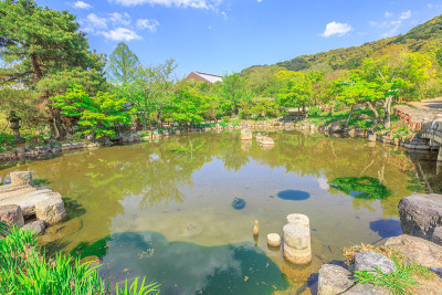 京都的丸山公园
