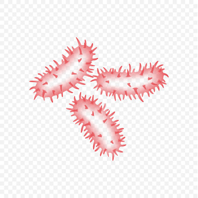 病毒的图标。微生物，细菌和细菌。生物疾病显微细胞