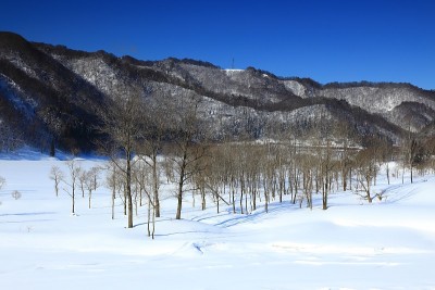 岩手县的雪景