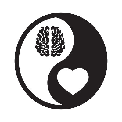 大脑和心脏