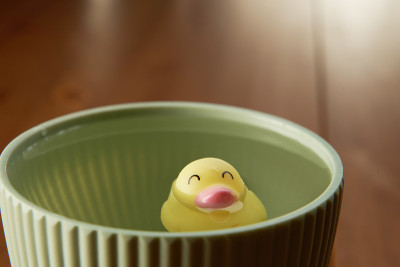 玩具黄色小鸭子在碗里的特写