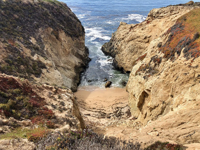 Garrapata