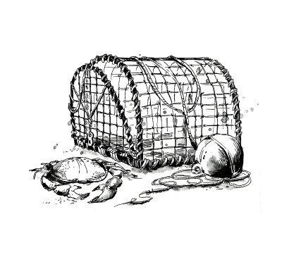 龙虾和螃蟹手绘墨水插图