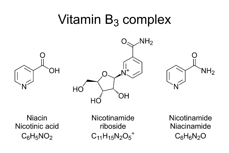 维生素B3复合物，烟酰胺，烟酸和烟酰胺核糖体，化学式