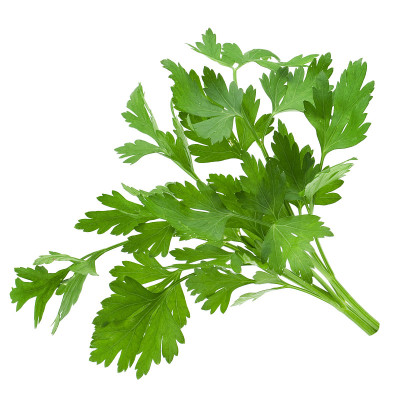 欧芹