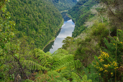 Whanganui河