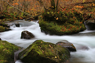 Towada Oirase山溪