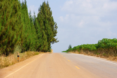 绿洲对道路的影响