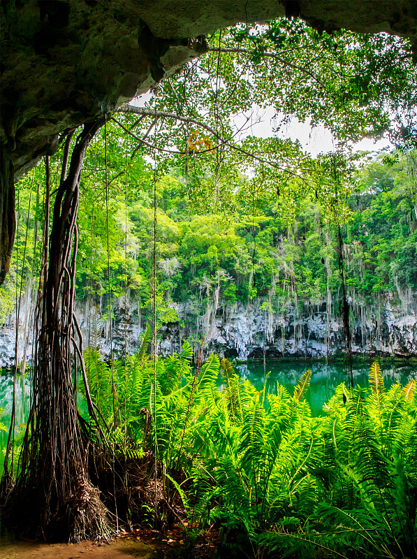 圣多明各的 Cenote