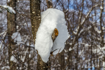 梳理下大雪