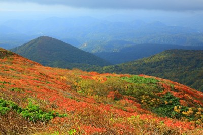 栗山的秋叶